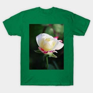 Valentine’s rose - Photography T-Shirt